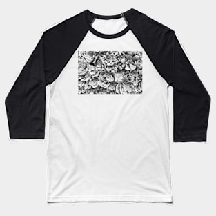 Black and White Succulents Baseball T-Shirt